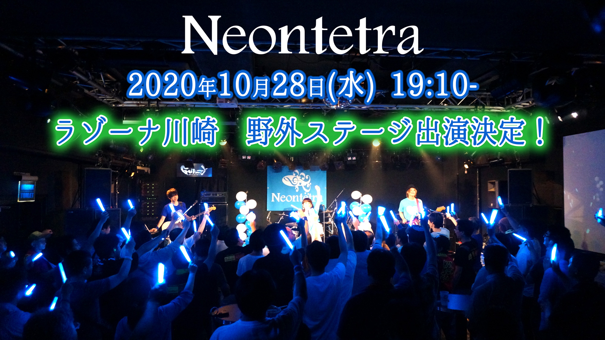 Neontetra_spring_LIVE